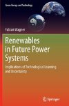 Renewables in Future Power Systems