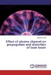 Effect of plasma channel on propagation and distortion of laser beam