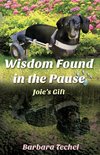 Wisdom Found in the Pause