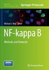 NF-kappa B