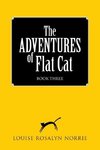 The ADVENTURES of Flat Cat