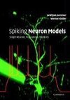 Spiking Neuron Models