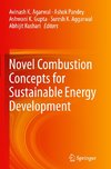 Novel Combustion Concepts for Sustainable Energy Development