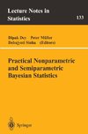 Practical Nonparametric and Semiparametric Bayesian Statistics