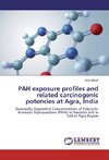 PAH exposure profiles and related carcinogenic potencies at Agra, India