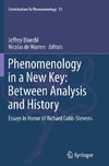 Phenomenology in a New Key: Between Analysis and History