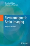 Electromagnetic Brain Imaging