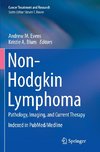 Non-Hodgkin Lymphoma