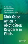 Nitric Oxide Action in Abiotic Stress Responses in Plants