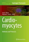 Cardiomyocytes