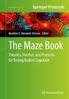 The Maze Book