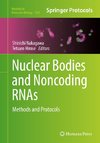 Nuclear Bodies and Noncoding RNAs