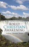 Adult Christian Awakening