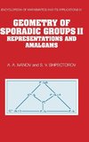 Geometry of Sporadic Groups