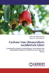 Cashew tree (Anacardium occidentale Linn)