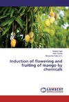 Induction of flowering and fruiting of mango by chemicals