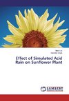 Effect of Simulated Acid Rain on Sunflower Plant