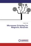 Microwave Sintering For Magnetic Abrasives