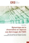 Dynamique de la chromatine en réponse aux dommages de l'ADN