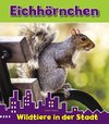 Eichhörnchen. Wildtiere in der Stadt