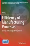 Efficiency of Manufacturing Processes