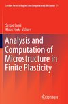 Analysis and Computation of Microstructure in Finite Plasticity