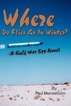 Where Do Flies Go in Winter?