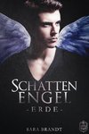 Schattenengel Buch 1 - Erde