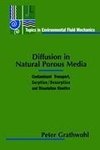 Diffusion in Natural Porous Media