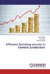 Efficient Grinding circuits in Cement production