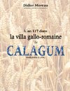 L'an 117 dans la villa gallo-romaine de Calagum