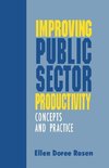 Rosen, E: Improving Public Sector Productivity