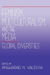 Feminism, Multiculturalism, and the Media