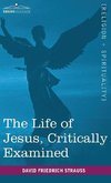 The Life of Jesus, Critically Examined