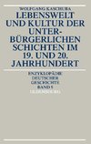 Lebenswelt und Kultur der unterbürgerlichen Schichten im 19. und 20. Jahrhundert