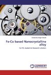 Fe-Co based Nanocrystalline alloy