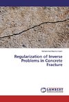 Regularization of Inverse Problems in Concrete Fracture