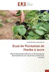 Essai de Plantation de l'herbe à sucre