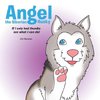 Angel the Siberian Husky