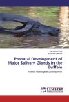 Prenatal Development of Major Salivary Glands In the Buffalo