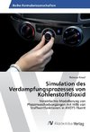 Simulation des Verdampfungsprozesses von Kohlenstoffdioxid