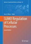 SUMO Regulation of Cellular Processes