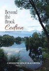 Beyond the Brook Cedron