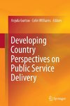 Developing Country Perspectives on Public Service Delivery