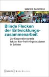 Blinde Flecken der Entwicklungszusammenarbeit