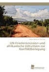 UN-Friedensmission und afrikanische Initiativen zur Konfliktbeilegung