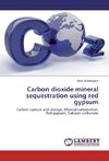 Carbon dioxide mineral sequestration using red gypsum