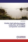 Visible light photocatalytic reduction of Cr(VI)by composite nanofiber