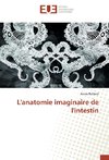 L'anatomie imaginaire de l'intestin