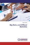 Big Data and Official Statistics